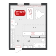 Студия, 30.6 м²