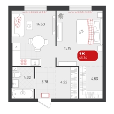1-комнатная, 46.3 м²